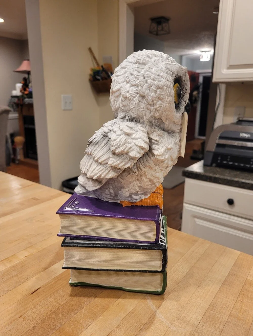 NEW Warner Brothers Harry Potter Hedwig Owl Perched On Books